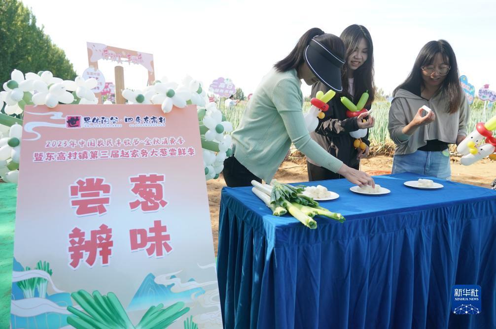 水果狂欢九线机游戏
